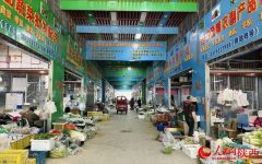 给“菜篮子”贴上“安心码”